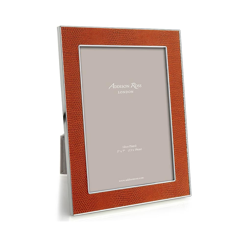 Orange Snake & Silver Frame 4x6