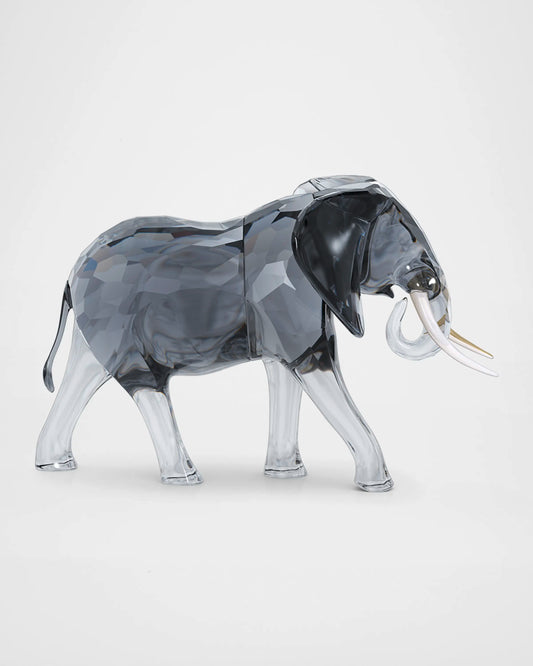 Elegance of Africa Elephant Bull