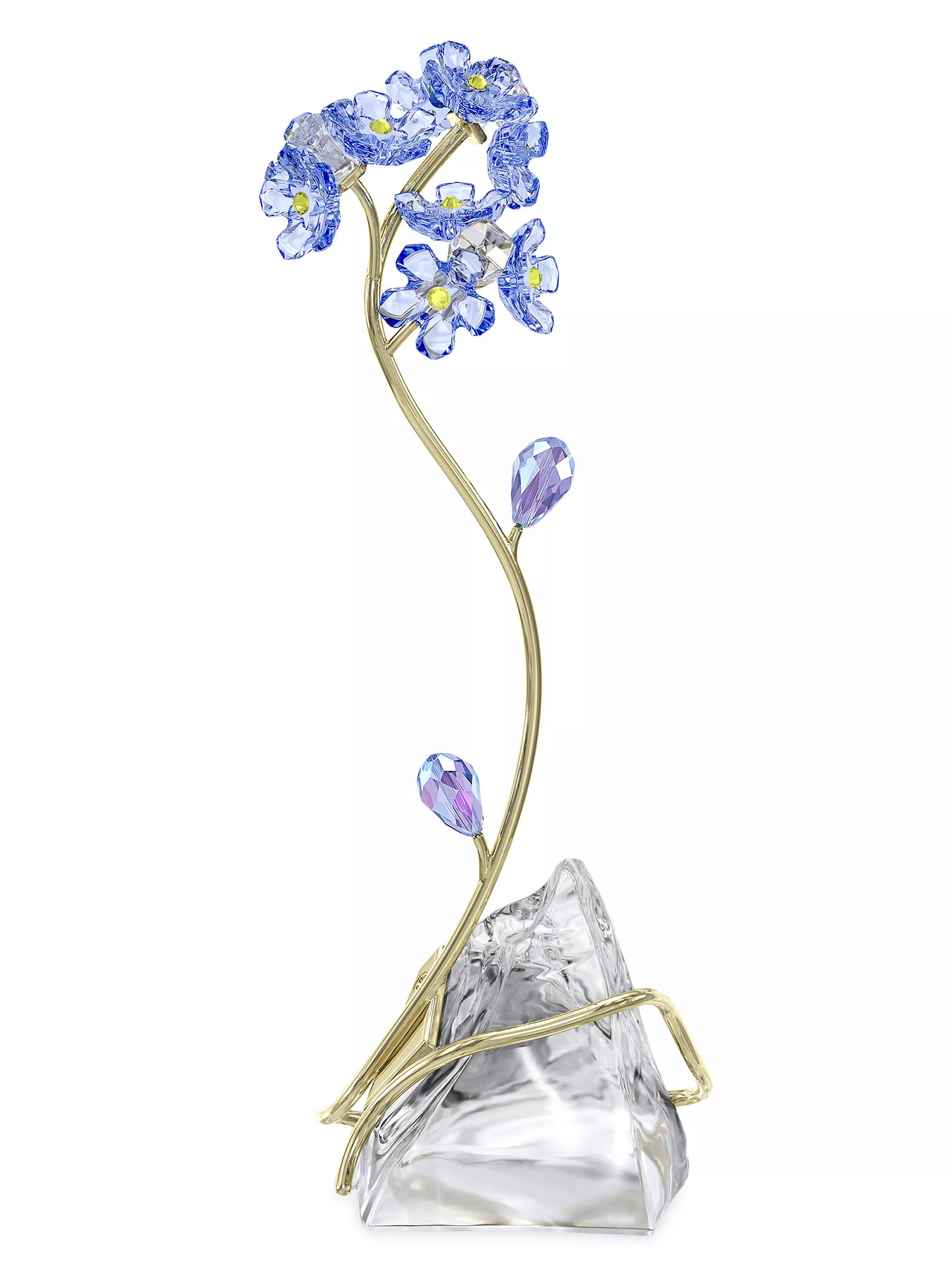 Florere Forget-me-not