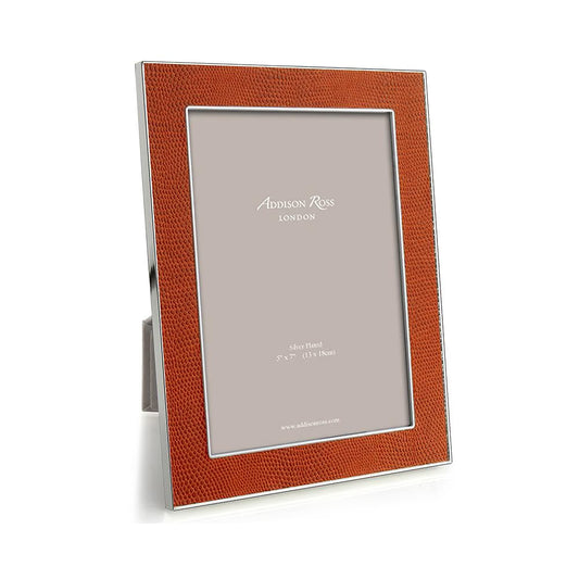 Orange Snake & Silver Frame 4x6